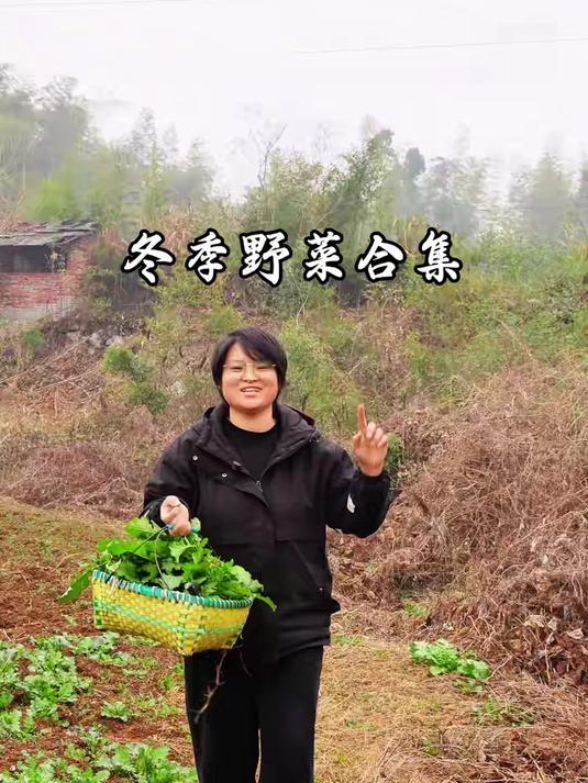 #百度AI春晚#冬季野菜合集