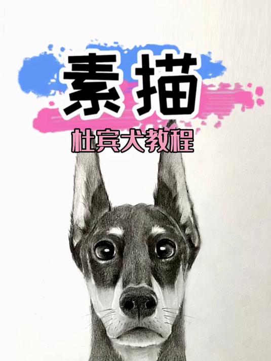 超简单的素描杜宾犬 视频版教程