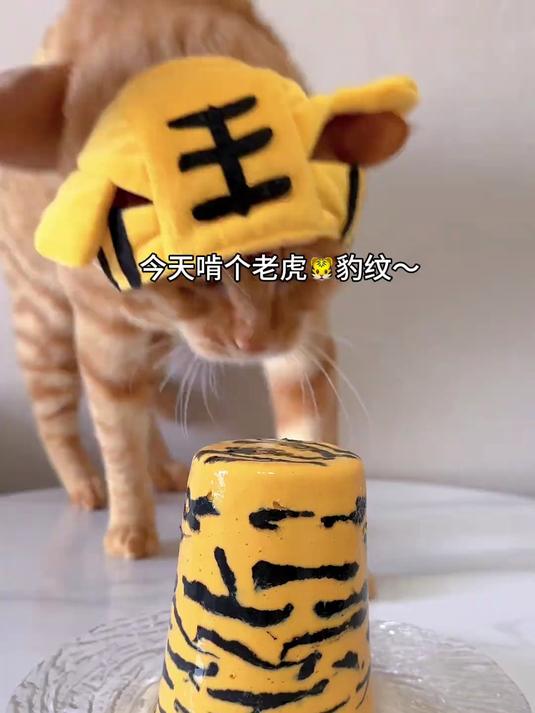 救命!挖机橘啃塌虎皮蛋糕 流心飞溅!