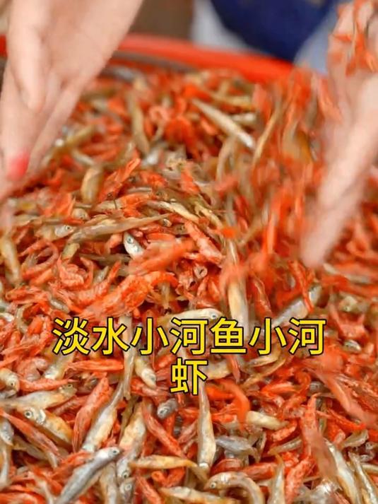 淡水小鱼小虾,香香酥酥的哦小鱼小虾土特产干货