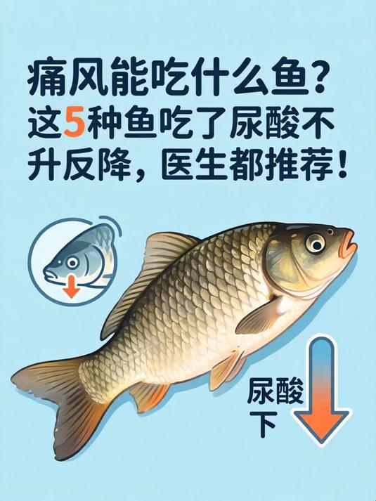 痛风能吃什么鱼？这5种鱼吃了尿酸不升反降，医生都推荐！
