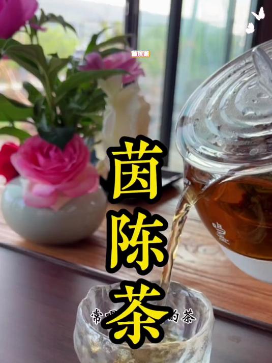 春季祛湿黄金茶!茵陈茶保肝利胆,喝出轻盈好状态
