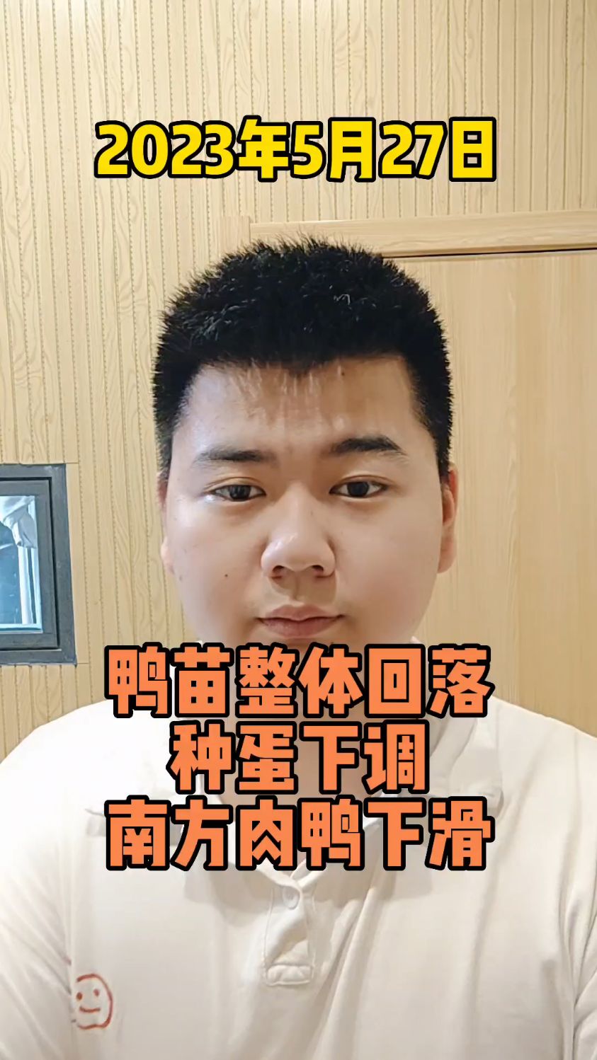 5月27,桂柳白羽鸭苗报价,北方回落4毛,南方鸭苗回落3毛,徐桂报价,目前处于4.1。