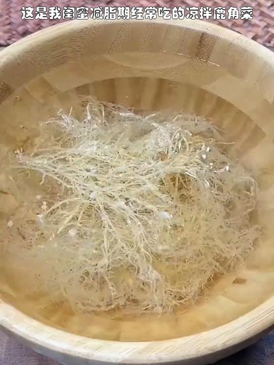 海里的蔬菜必备凉拌菜龙须菜