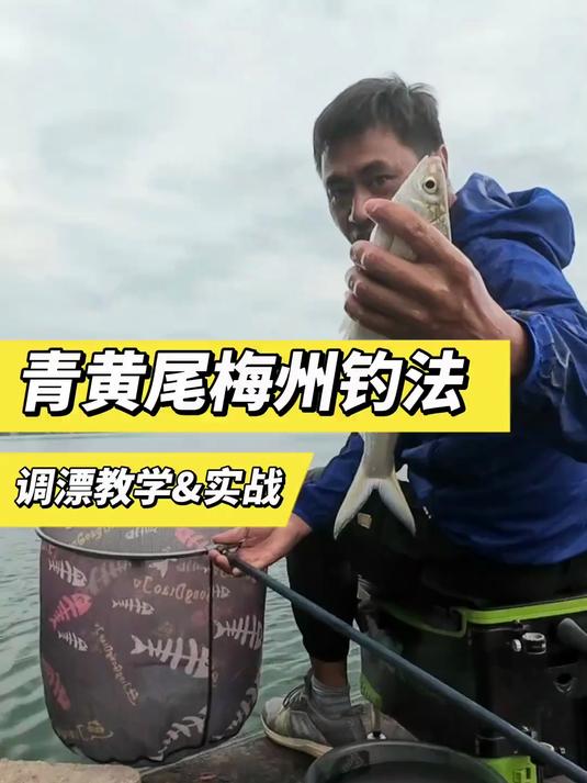 改用梅州钓法专攻黄尾青尾鯝，抗风避杂鱼，锚鱼少了中钩率翻倍