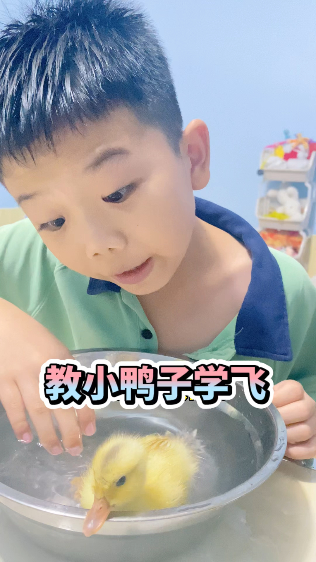 小鸭子太小了不能飞呀!