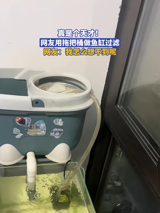 真是个天才！网友用拖把桶做鱼缸过滤#宝藏城市漫游记#