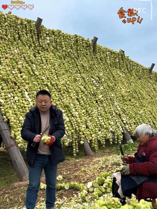 要做出脆嫩爽口的榨菜好原材料是关键