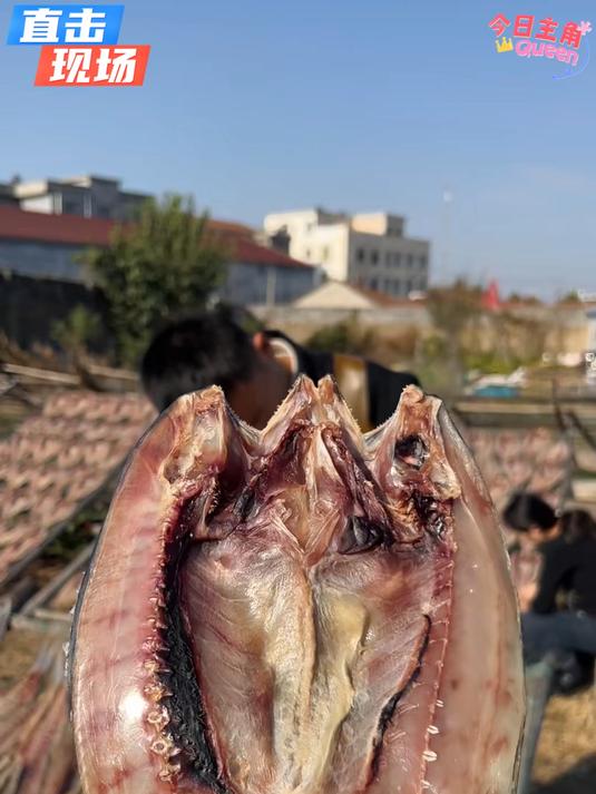 鲅鱼干肉质紧实红烧油炸可香咯 这么做隔壁小孩都能馋哭了#大海的馈赠##海鲜干货##海产品#