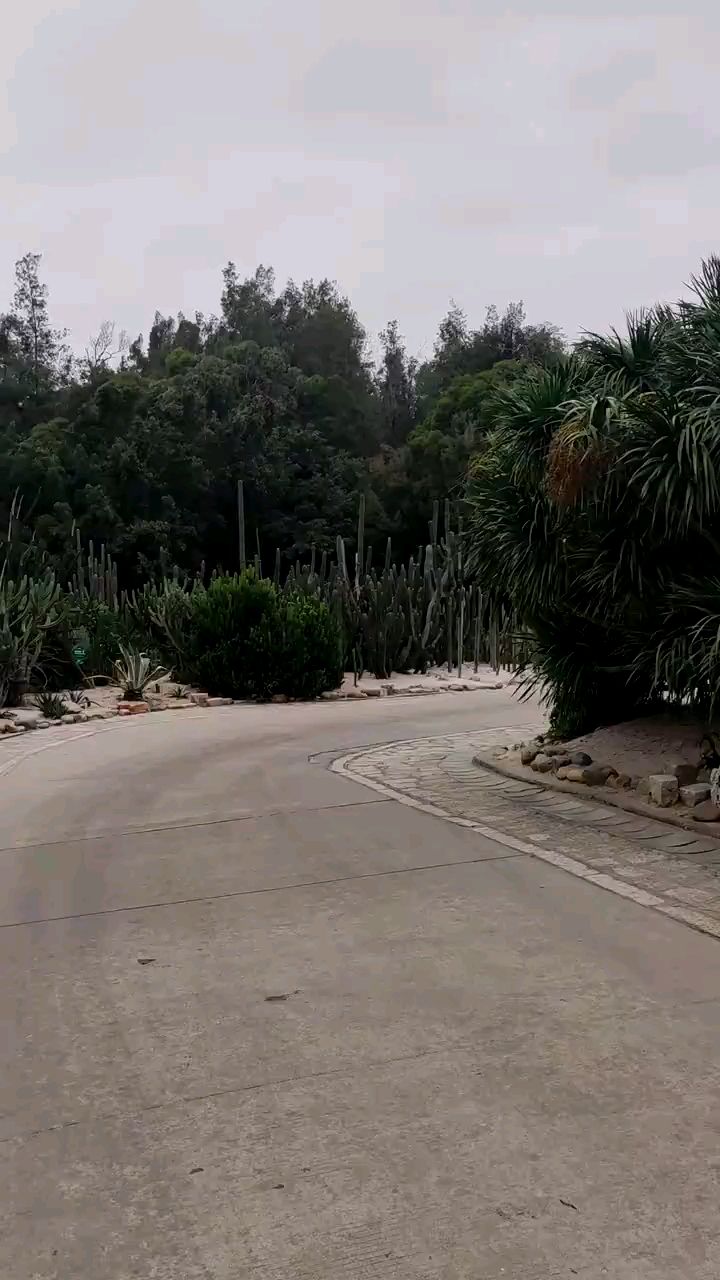 来看看多肉植物园啦～