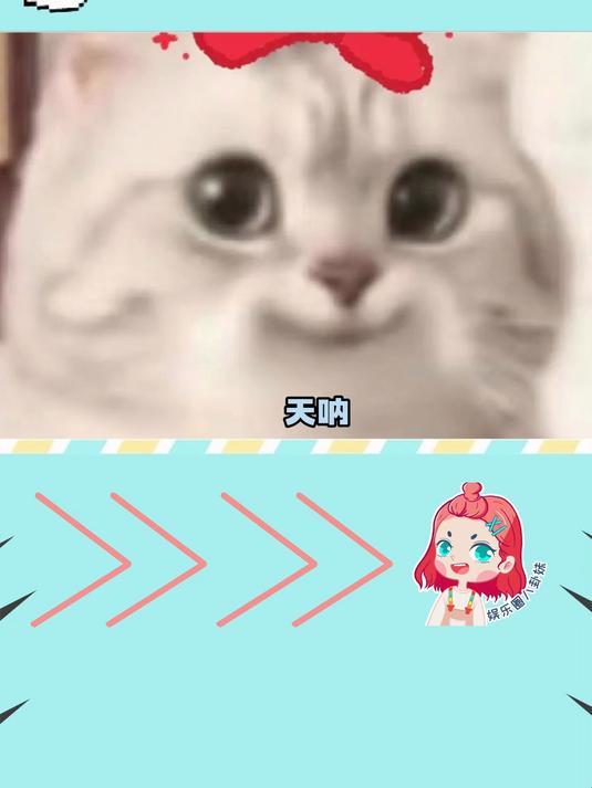 快把小鱼干都给它 猫猫 可爱 萤火新星大赛