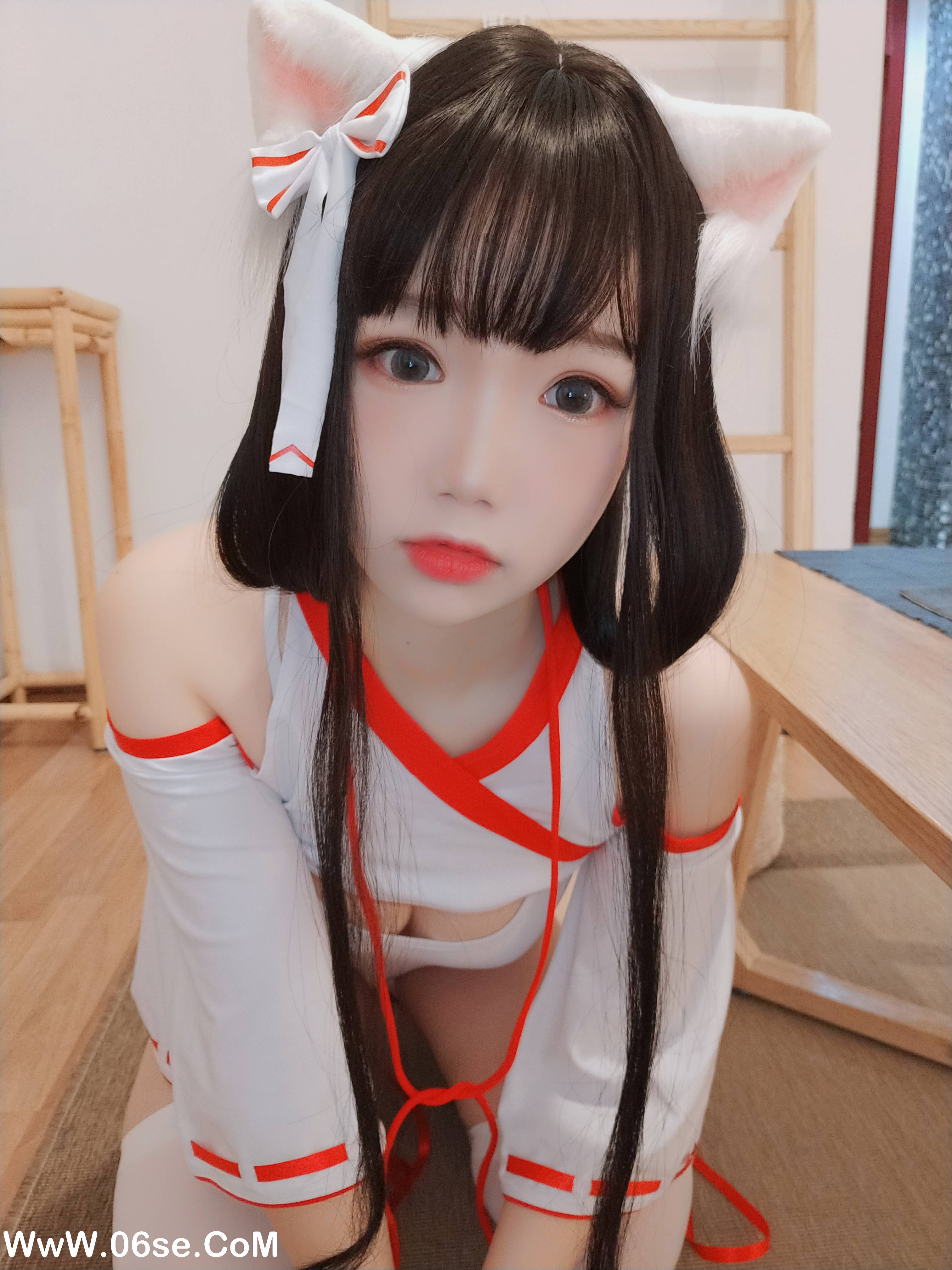 图片[10]-雪晴 – NO.002 社の猫[96P+9V662M]-六色网
