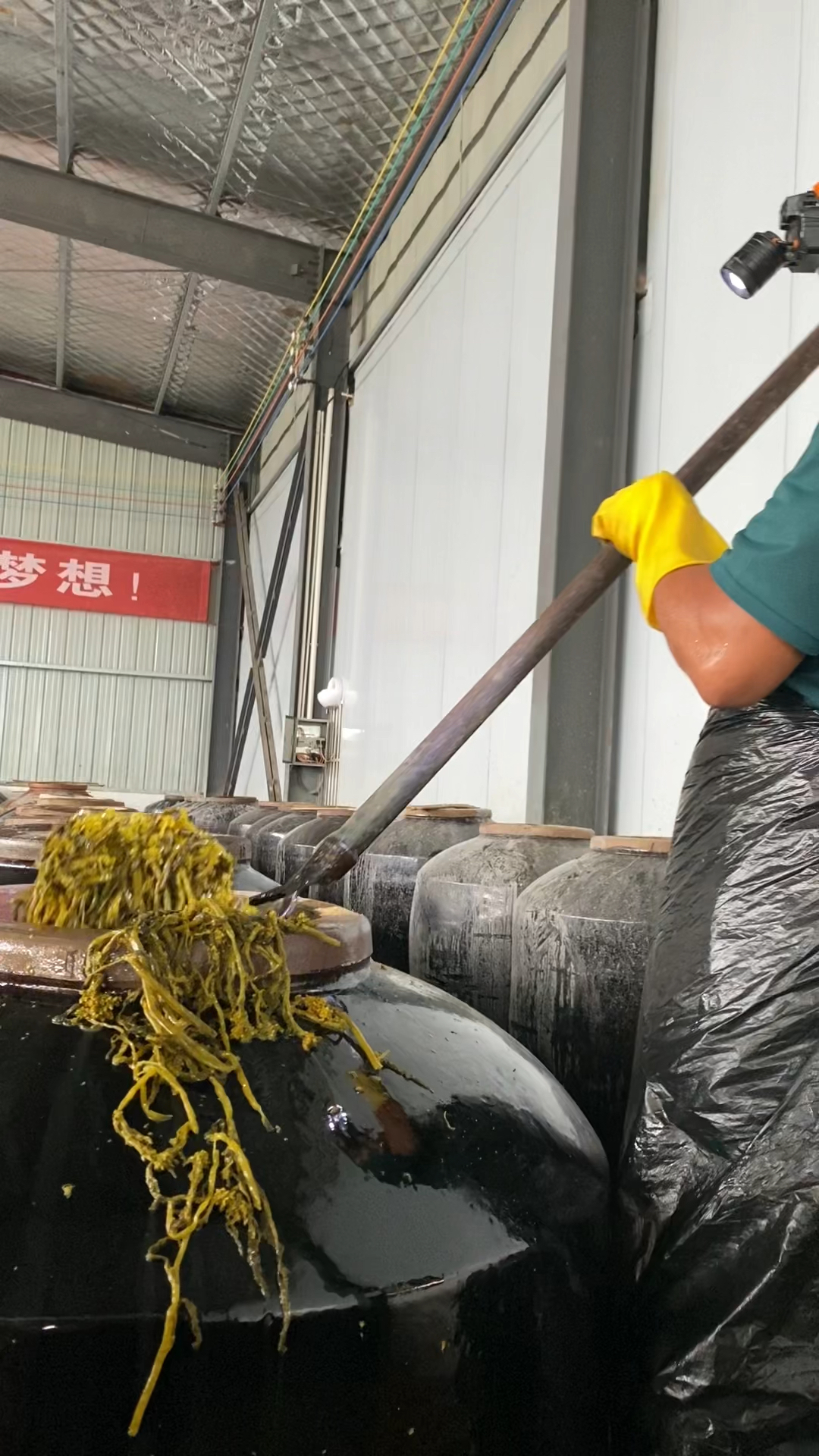 发愁做饭吃什么呀?试试这个油菜苔烧菜真香,没有添加剂