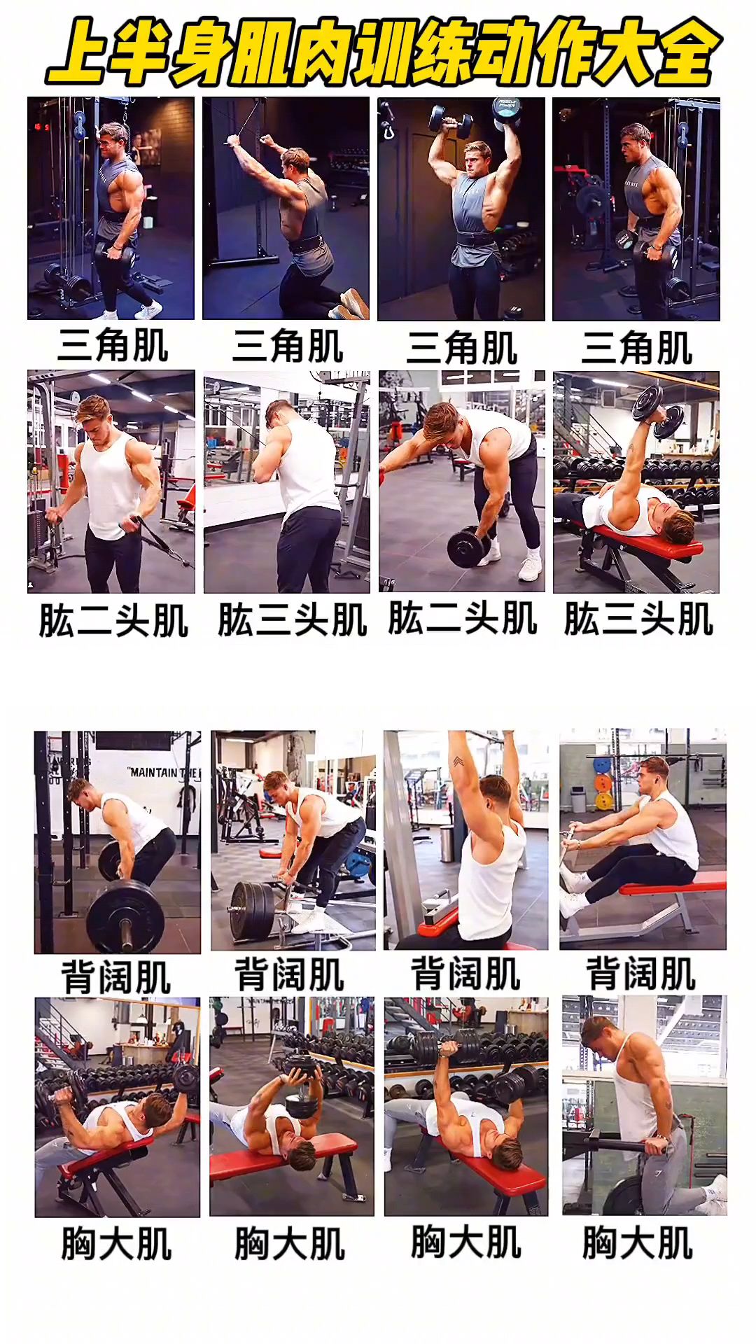 上半身肌肉训练动作大全