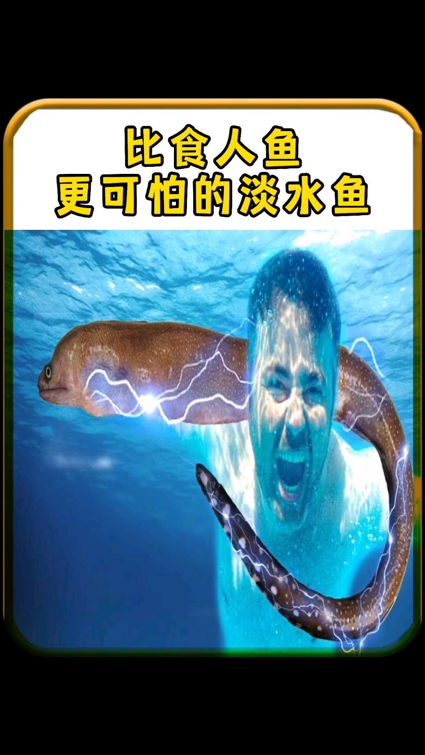 比食人鱼更可怕的淡水鱼
