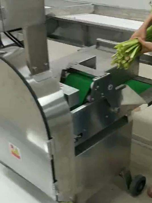 全自动喷淋芹菜清洗流水线 净菜加工蔬菜清洗深加工设备厂