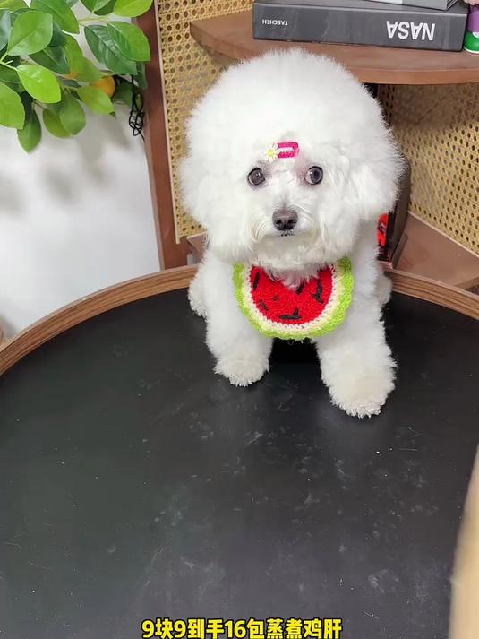 这个蒸煮鸡肝,真的太划算啦