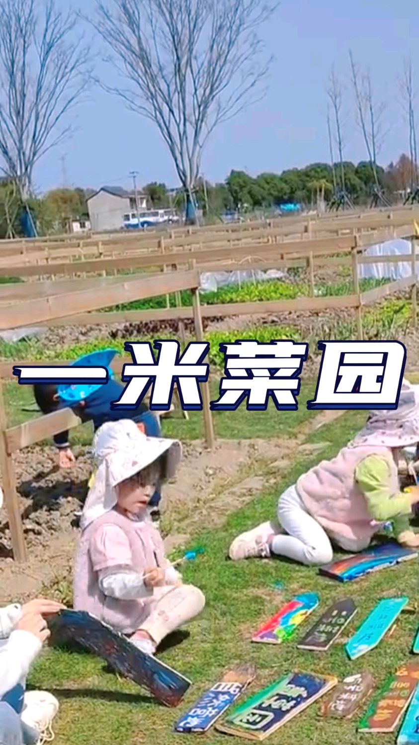 一米菜园,体验田园生活