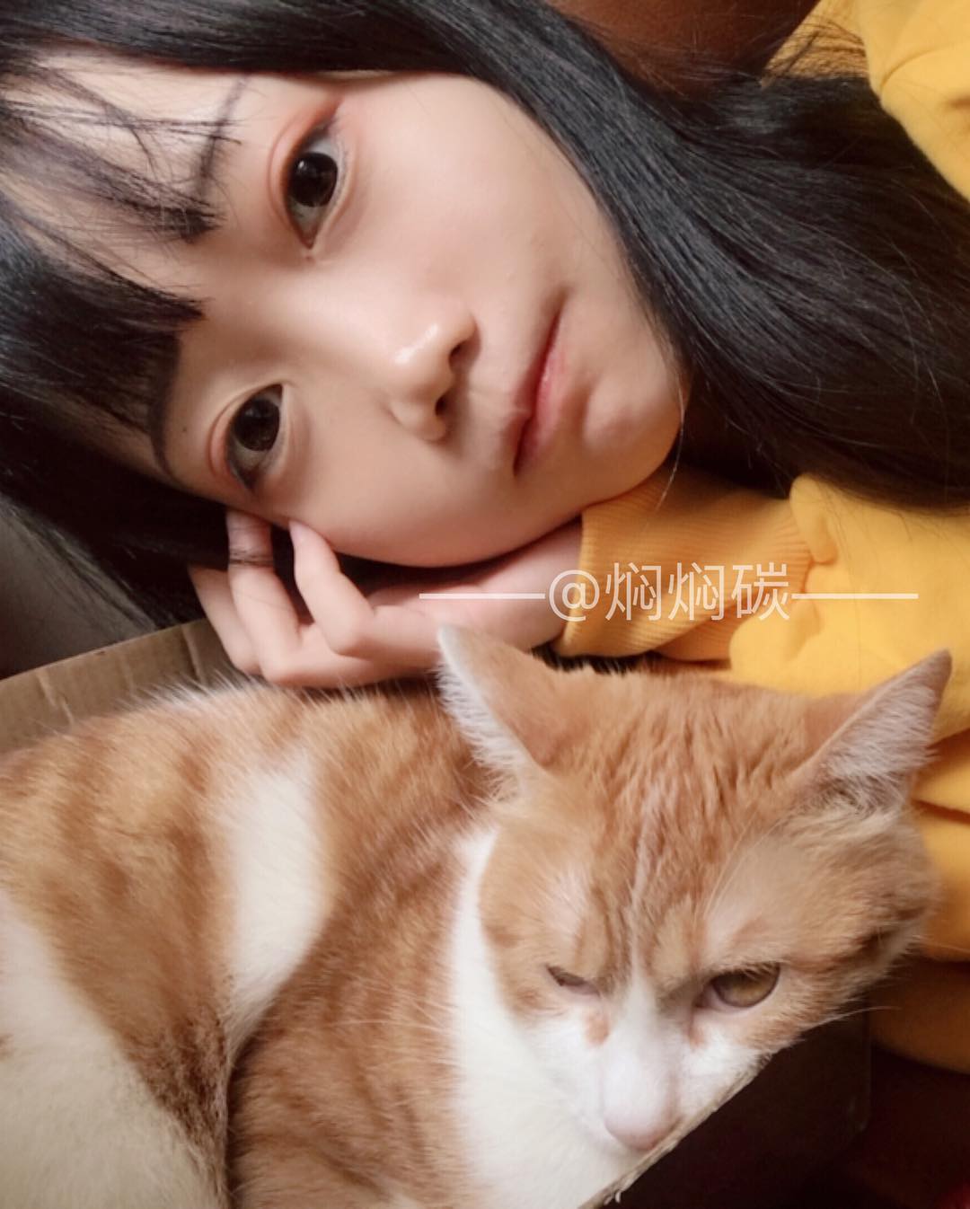 图片[751]-焖焖碳 NO.001 – 微博图片视频打包合集[1459P+98V657M]-六色网