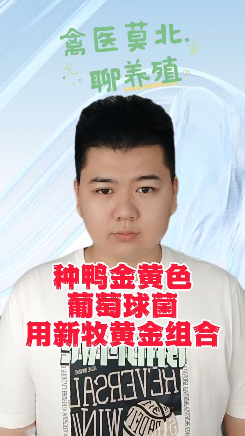 鸭子金黄色葡萄球菌怎样防治鸭葡萄球菌病用什么鸭子葡萄球菌感染是什么症状