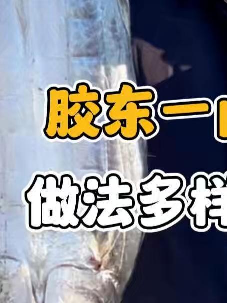 胶东一卤鲜鲅鱼干,做法多样吃着太香了