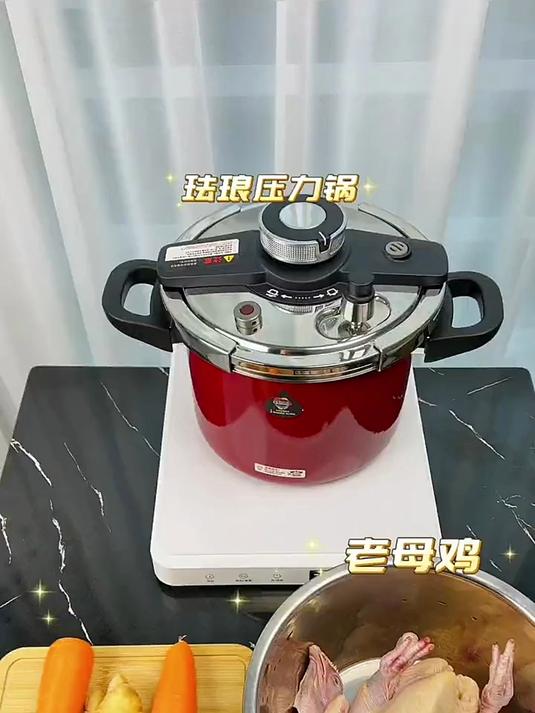 思丁姆珐琅高压锅dstc-22-6.5l怎么炖鸡汤?