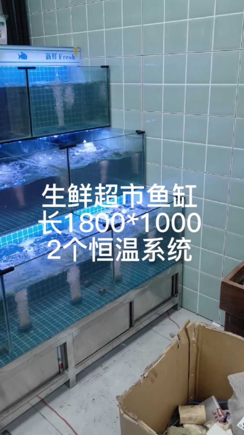生鲜超市海鲜鱼缸完工,这个氧气有点爆炸呀!#武汉海鲜池鱼缸制作 #长沙海鲜池鱼缸制作