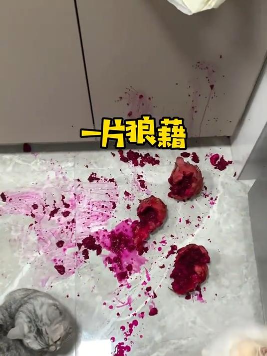 在线提问 猫肉怎么做好吃？