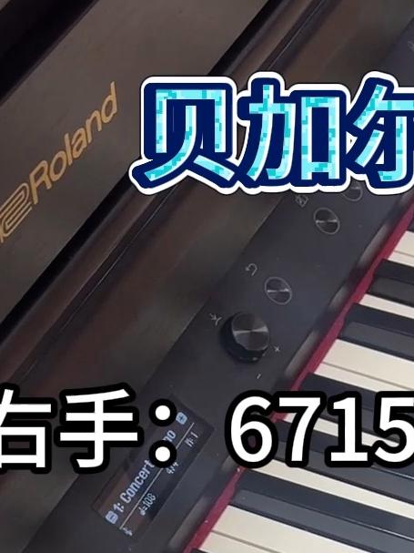 贝加尔湖畔钢琴教学
