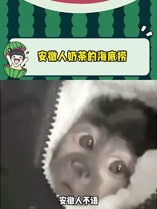 安徽人奶茶的海底捞