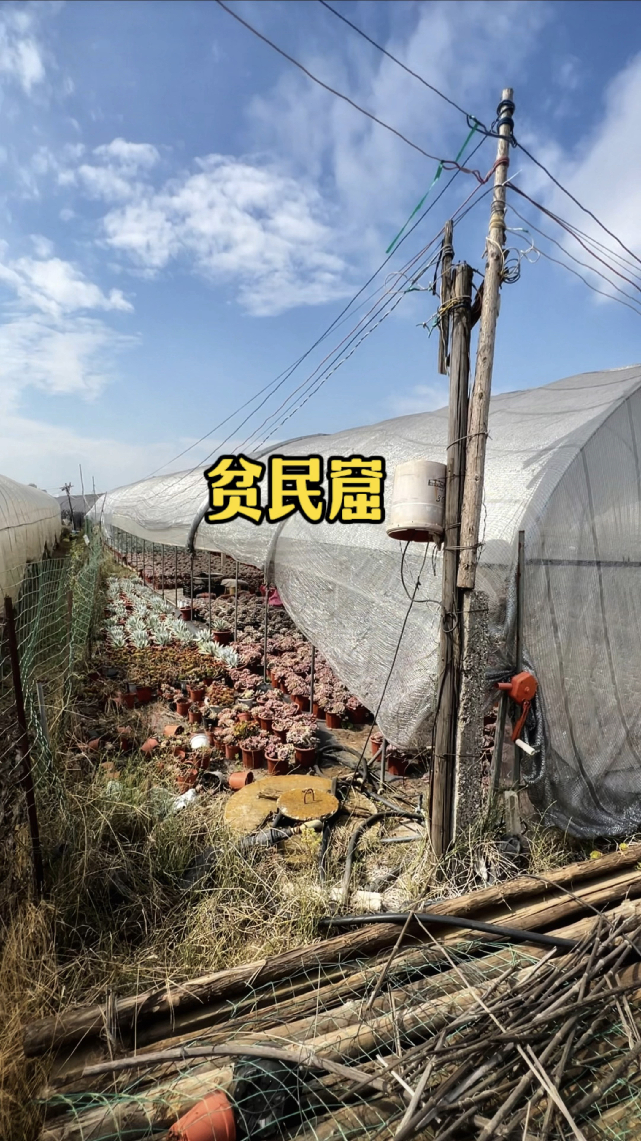 云南昆明典型的多肉植物种植区“矣六村”