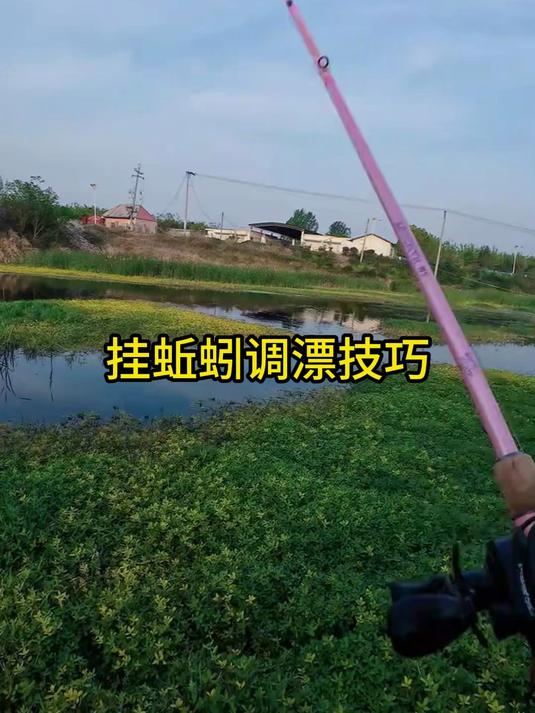 挂蚯蚓总没信号？这样调漂，鲫鱼咬钩必黑漂
