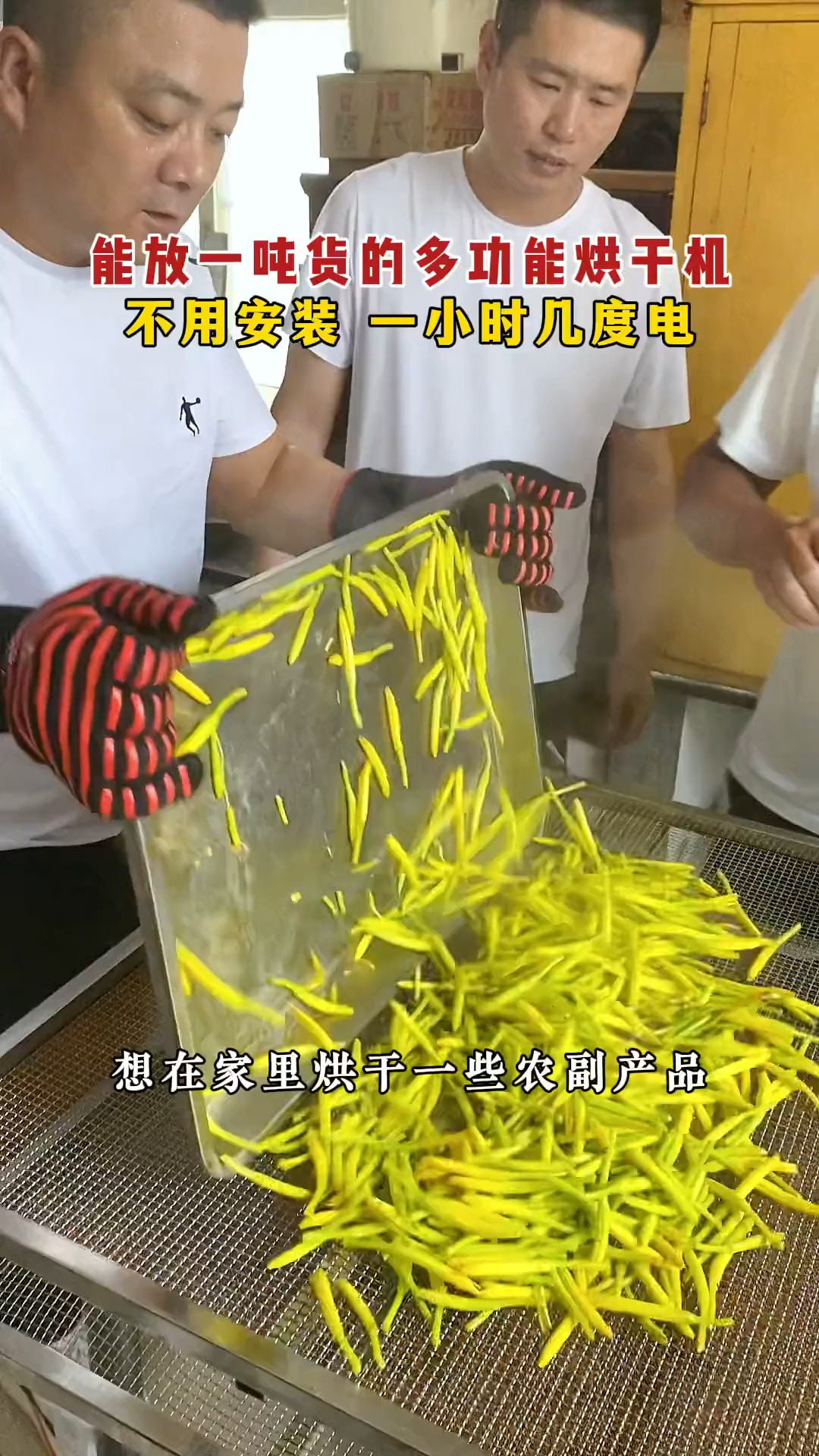 黄花菜烘干机、中药材烘干机
