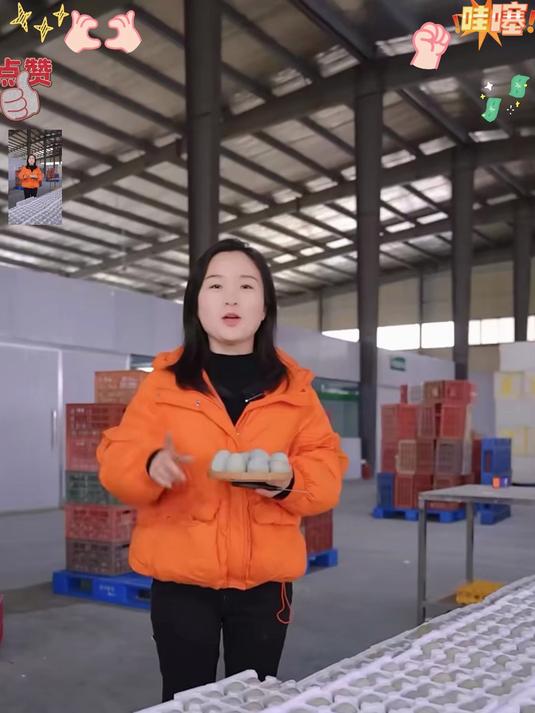 精选鄱阳湖散养麻鸭下的蛋,采用无铅工艺,个个晶莹剔透