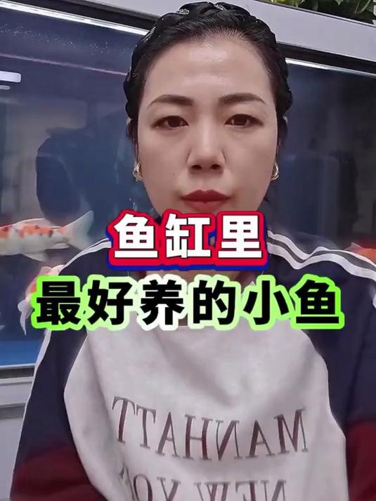 鱼缸里最好养的小鱼