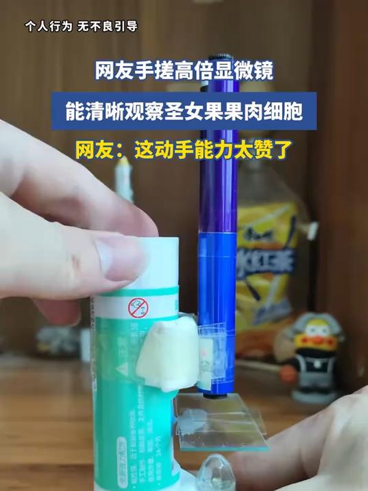 网友手搓高倍显微镜,能清晰观察圣女果果肉细胞,网友:这动手能力太赞了