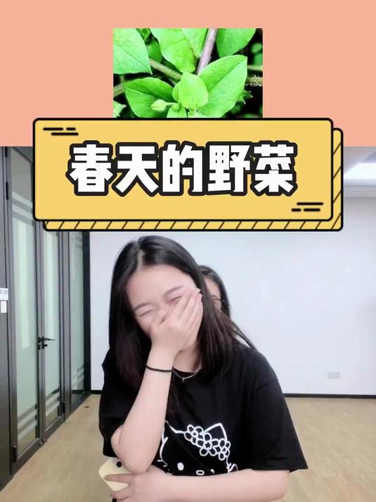春天那些好吃的野菜