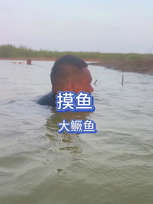 这天气绝了,太适合摸鱼啦!