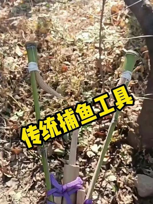 传统捕鱼工具