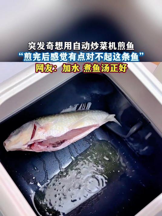 突发奇想用自动炒菜机煎鱼,“煎完后感觉有点对不起这条鱼”,网友:加水 煮鱼汤正好