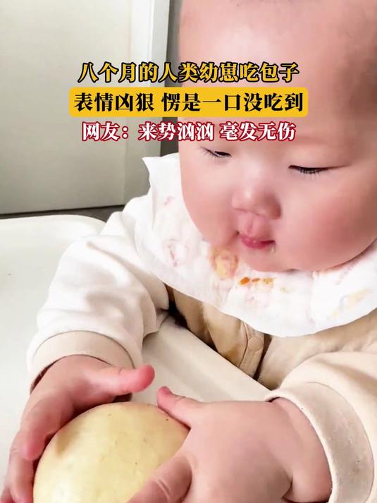 八个月的人类幼崽吃包子,表情凶狠,愣是一口没吃到