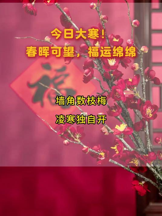 #今日大寒 今日大寒!春晖可望,福运绵绵 #吃年糕 #炖鸡汤