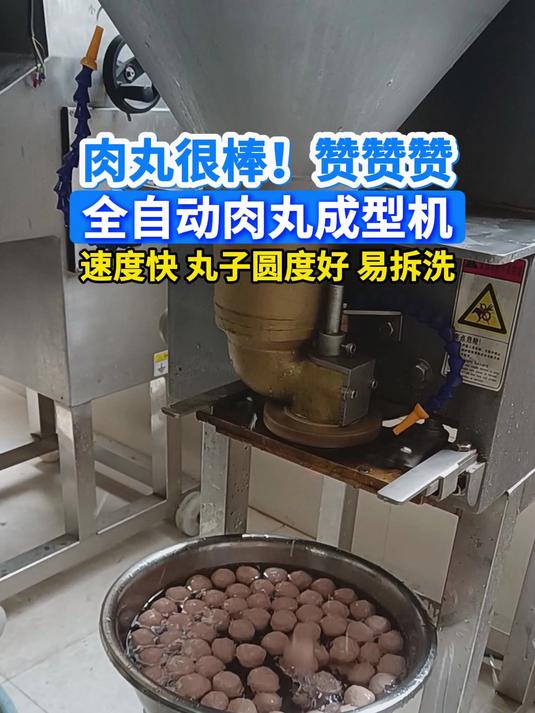 全自动肉丸机,速度快,丸子圆度好,易清洗