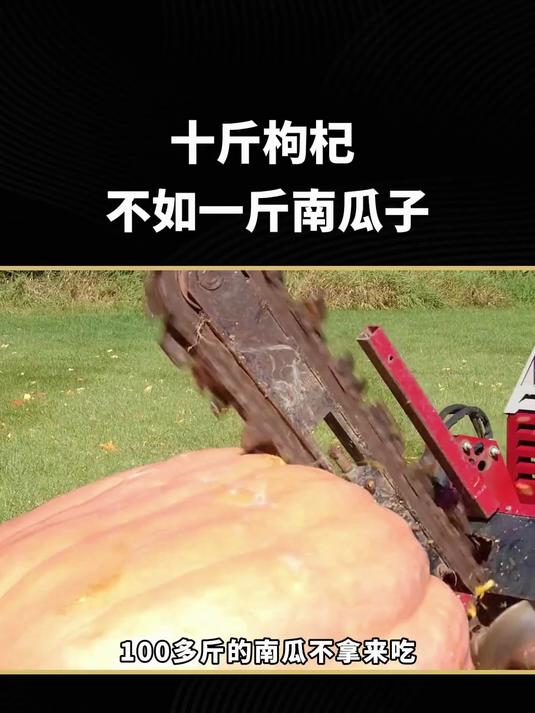南瓜子仁轻盐轻炒更健康,突出本味不齁咸,吃多不腻