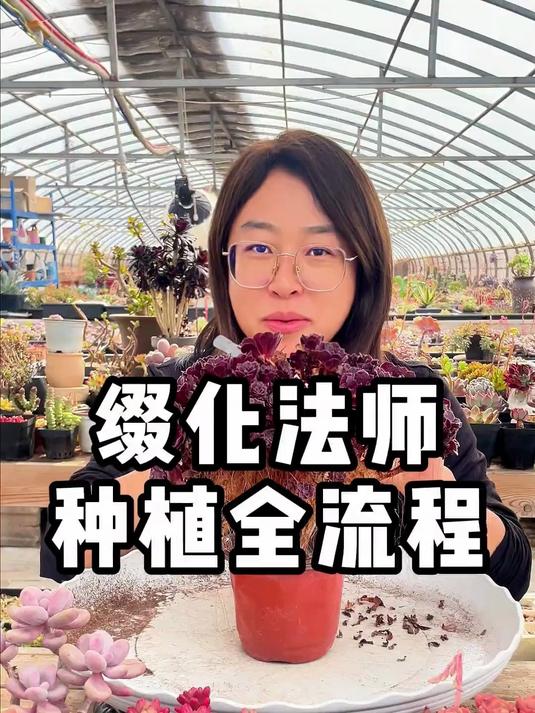 缀化的种植流程