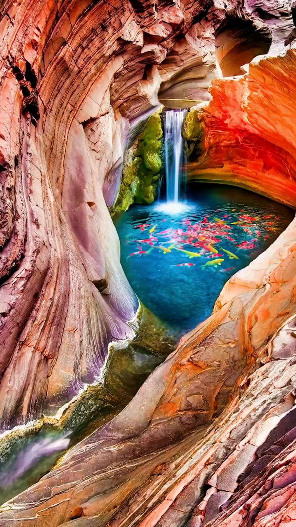 往后余生,年年有鱼,遇见美好时光