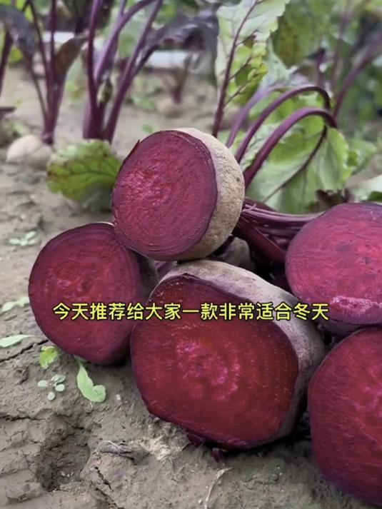 甜菜根煮水好处多,清甜回甘润喉,咳嗽人群快试试!