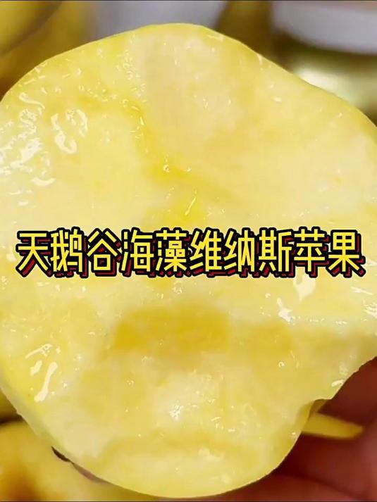 维纳斯苹果水果 水果推荐