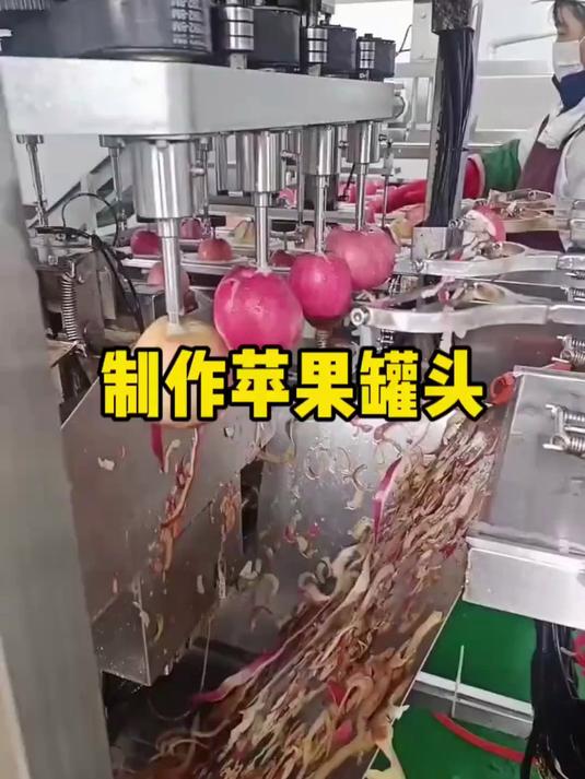 原来这就是制作苹果罐头啊
