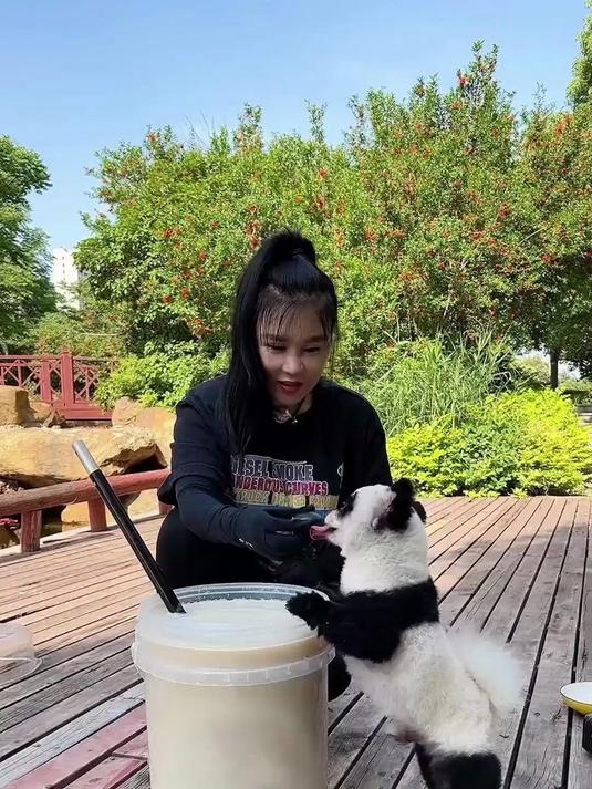 姑姑的超大杯奶茶 比茅台还大的奶茶你们想体验一下吗？